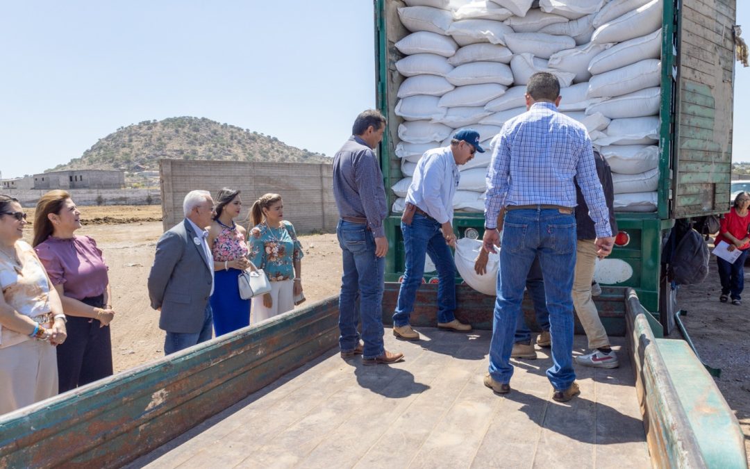 Destinan 2.6 mdp en apoyos de fertilizante y semilla de avena para productores de Cuauhtémoc