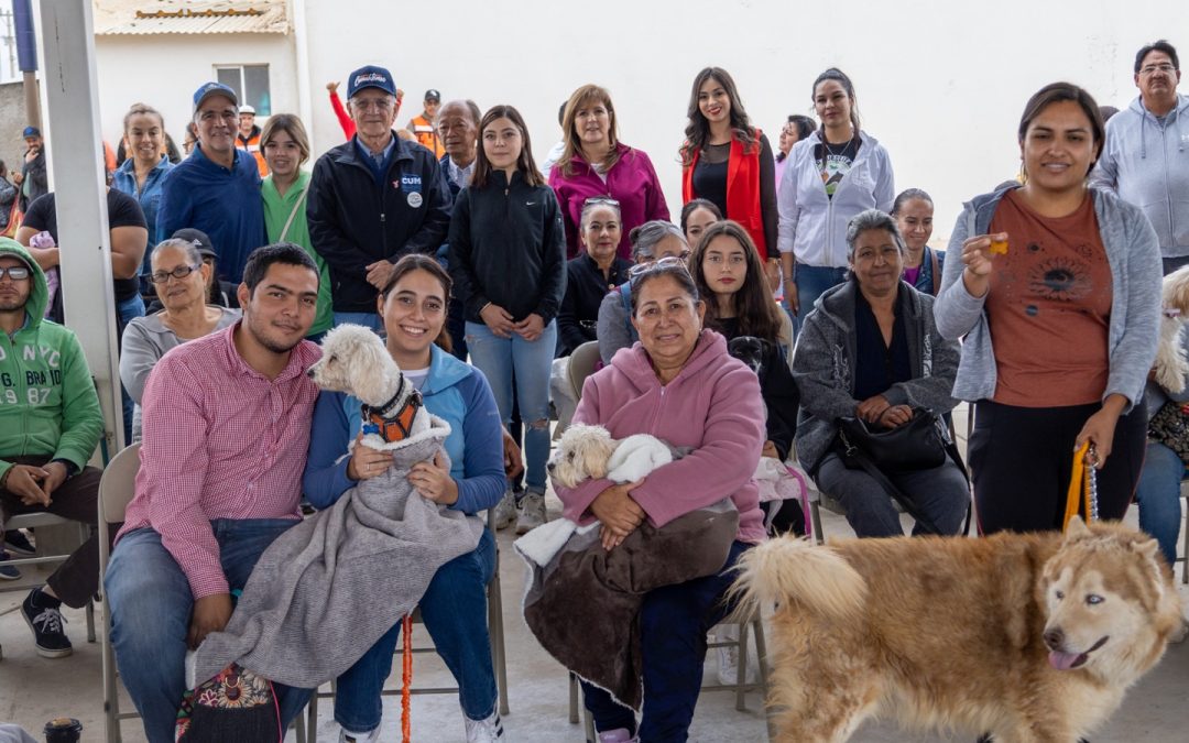 Logran esterilizar a un total de 2198 mascotas en 7 campañas a bajo costo, en Cuauhtémoc
